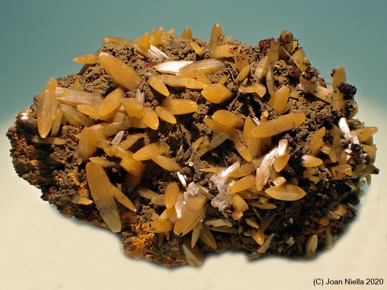 Wulfenita
45 x 30 mm
(Autor: Joan Niella)