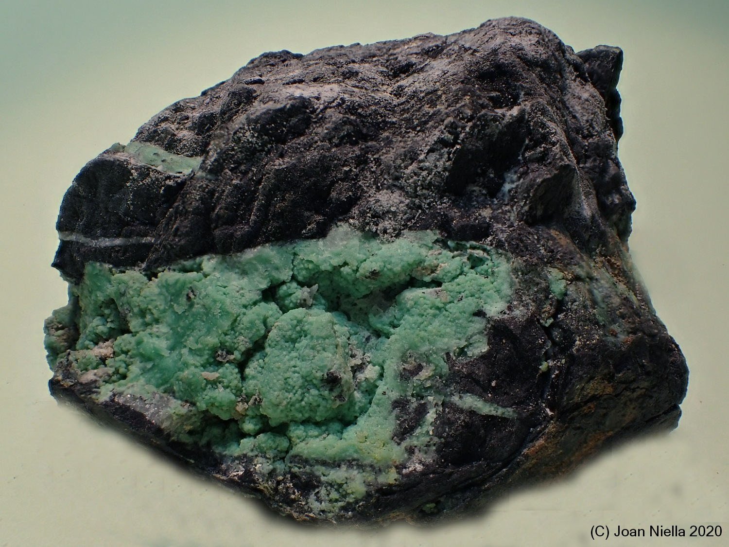 Variscita
80 x 45 mm
(Autor: Joan Niella)