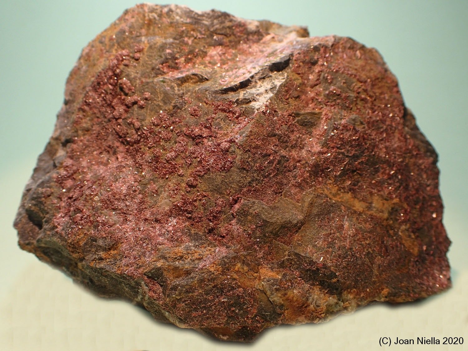 Eritrita (Eritrina)
70 x 55 mm
(Autor: Joan Niella)