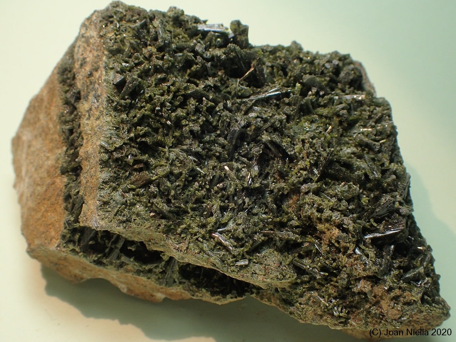 Epidota
65 x 50 mm
(Autor: Joan Niella)