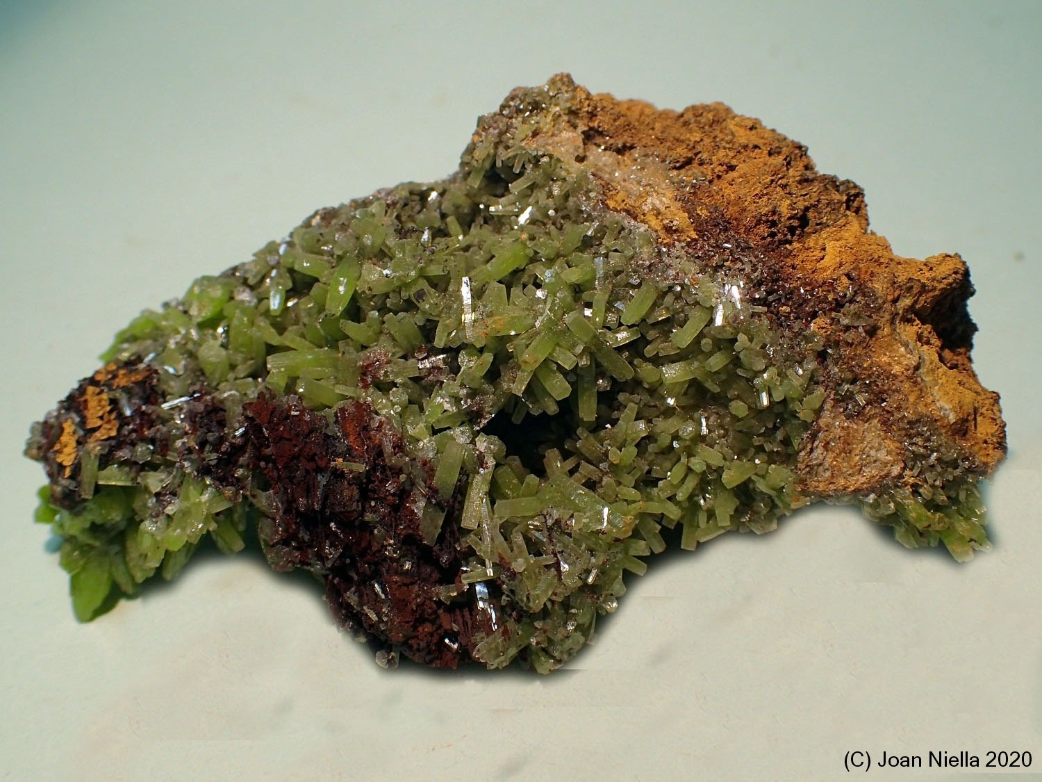 Piromorfita
60 x 35 mm
(Autor: Joan Niella)