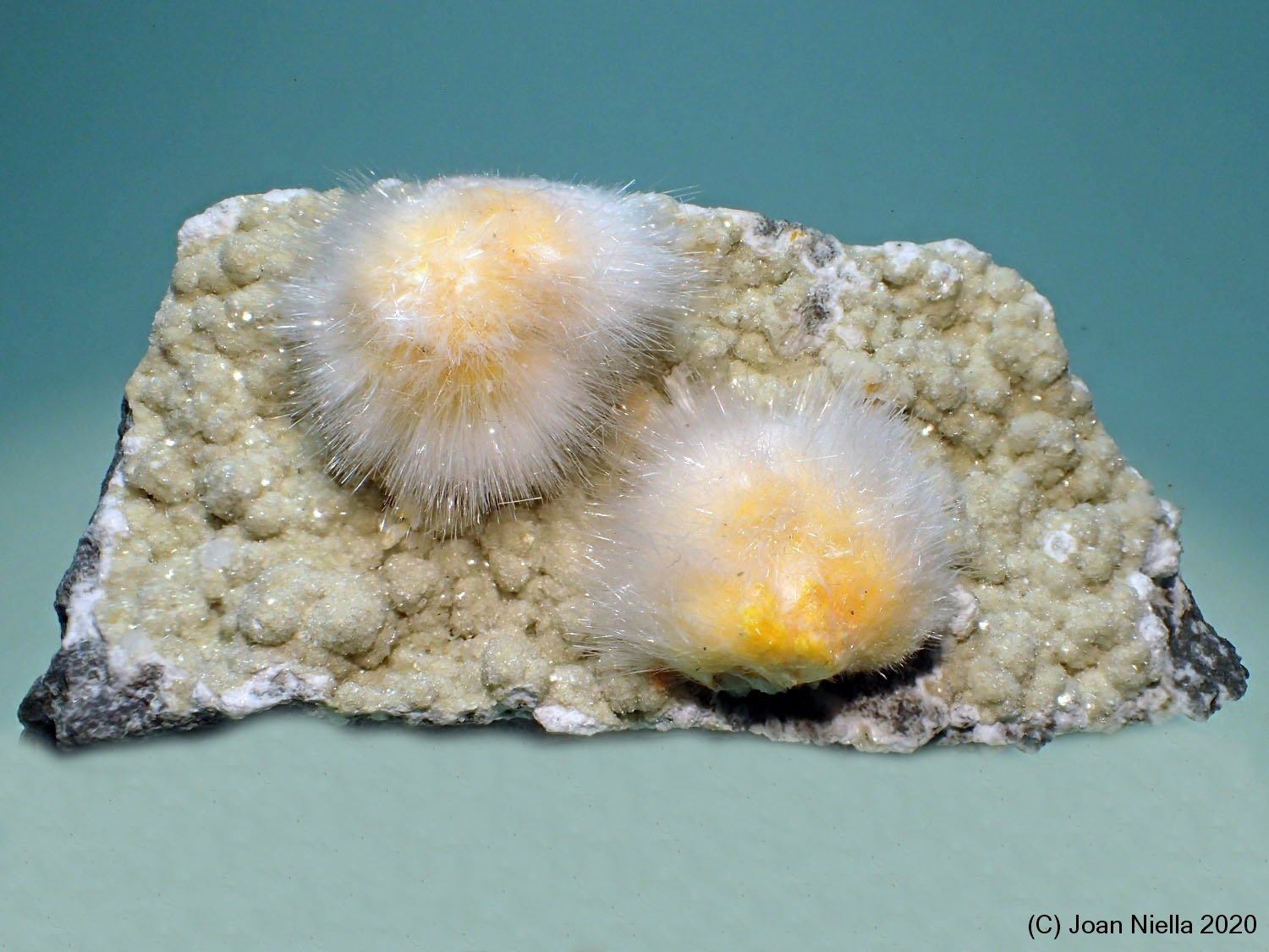 Okenita
6 x 3 cm
(Autor: Joan Niella)