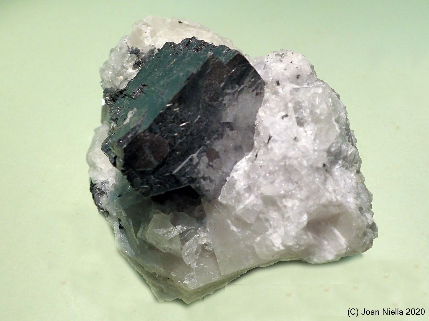 Galena
7 x 5 cm
(Autor: Joan Niella)