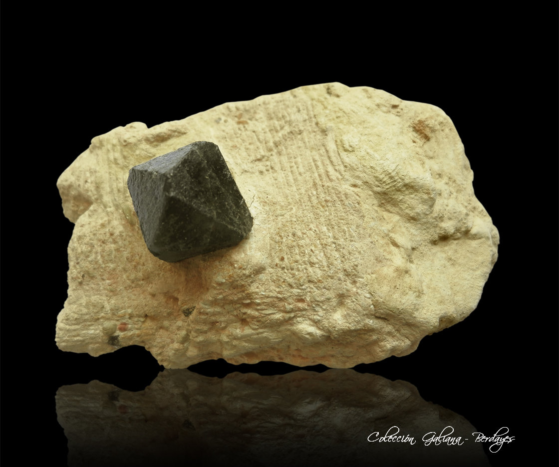 Cuarzo (variedad morión)
86 x 53 x 46 mm
(Autor: Rafael Galiana)