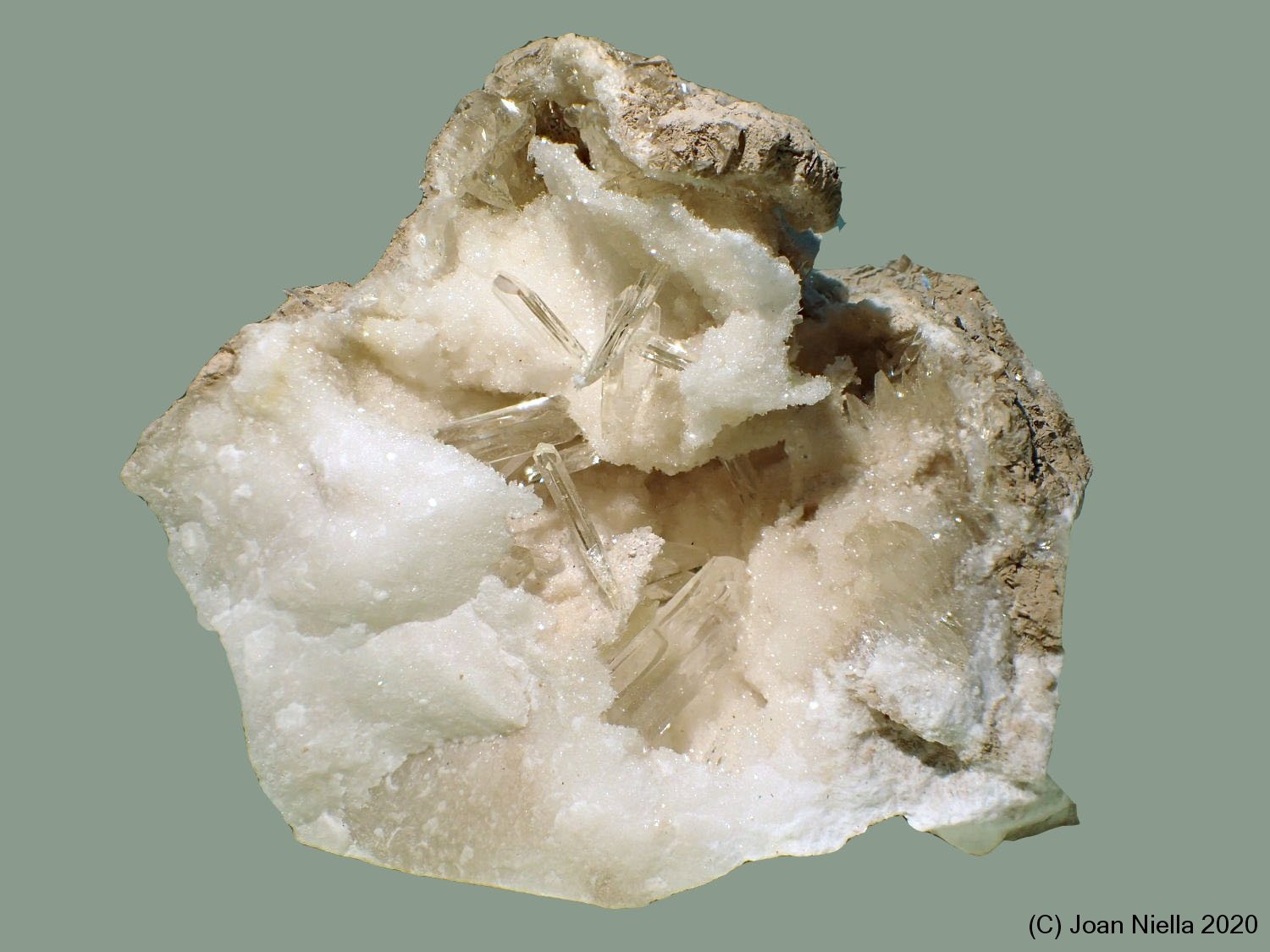 Yeso
8 x 7 cm
(Autor: Joan Niella)
