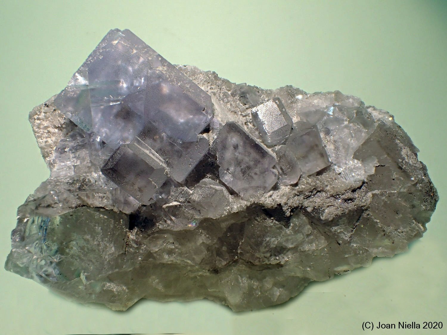 Fluorita
10 x 7 cm
(Autor: Joan Niella)