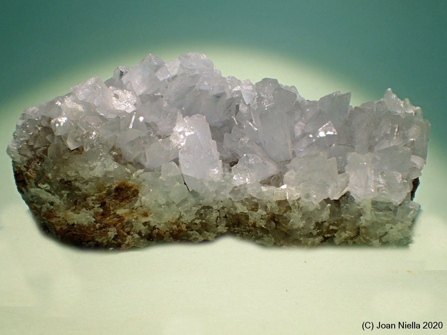 Celestina
13 x 7 cm
(Autor: Joan Niella)