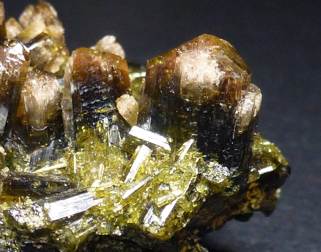 Epidota, Clinozoisita
0,5 cm. el cristal mayor
(Autor: javier ruiz martin)
