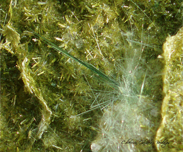 Actinolita
cristal de 14 mm de longitud.
(Autor: Rafael Galiana)
