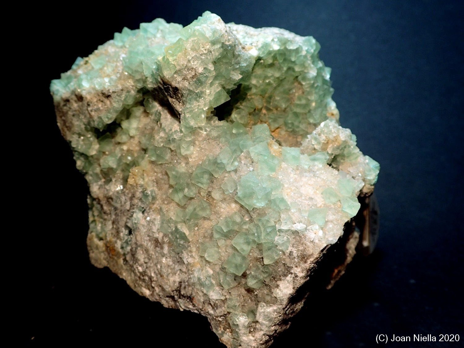 Fluorita
11 x 8 cm
(Autor: Joan Niella)