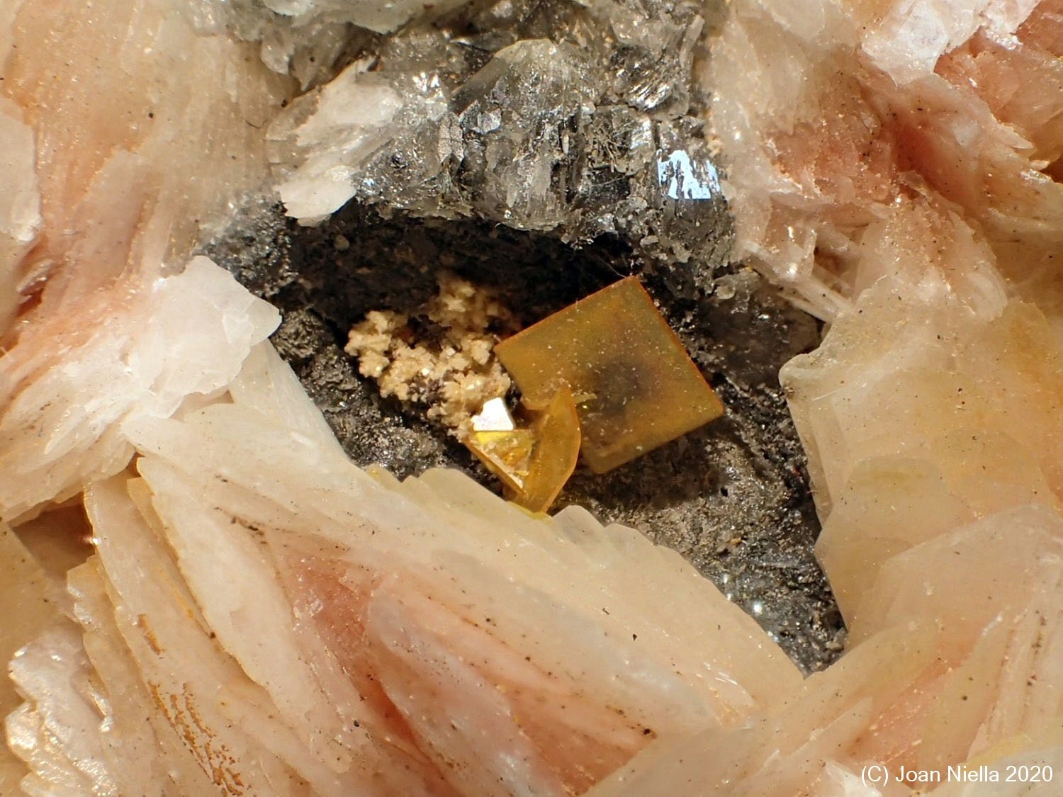 Wulfenita
CV 2 x 1 cm
(Autor: Joan Niella)
