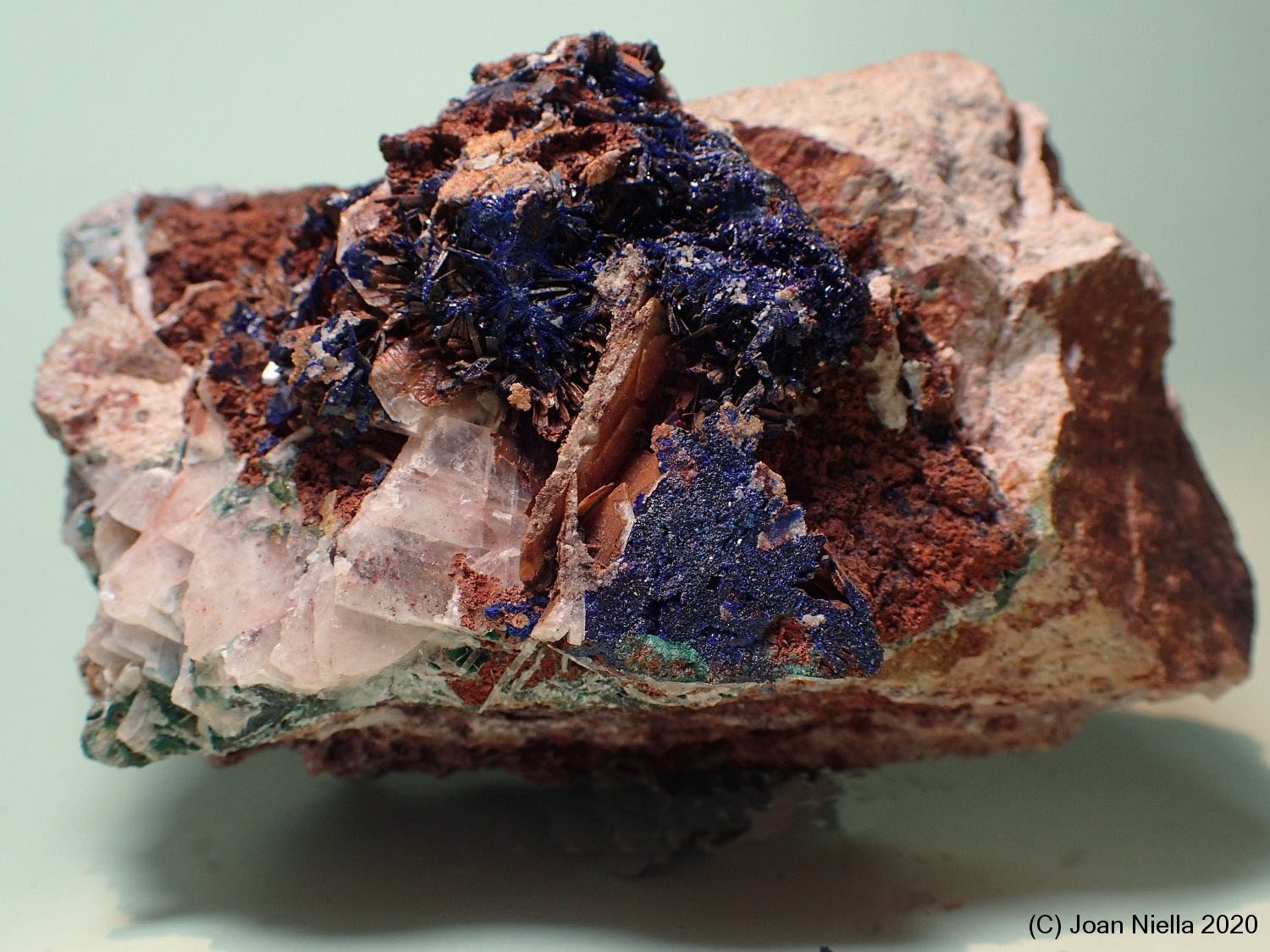 Azurita
9 x 6 cm
(Autor: Joan Niella)