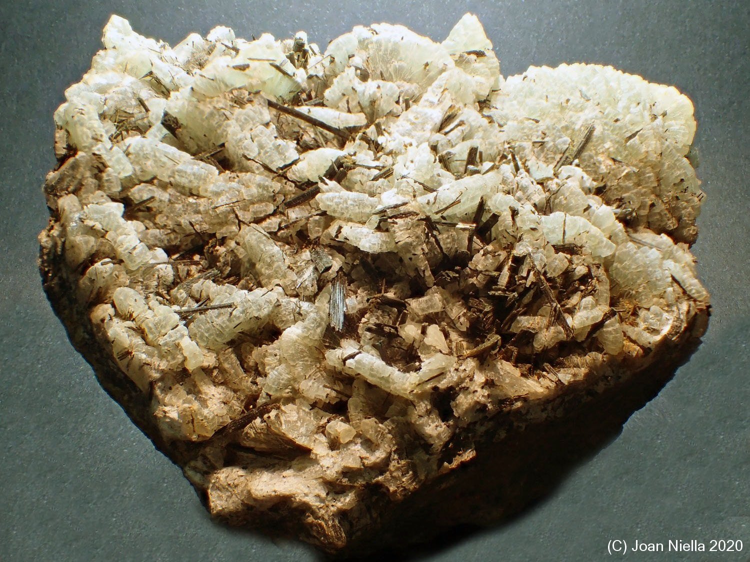Hornblenda
8 x 7 cm
(Autor: Joan Niella)