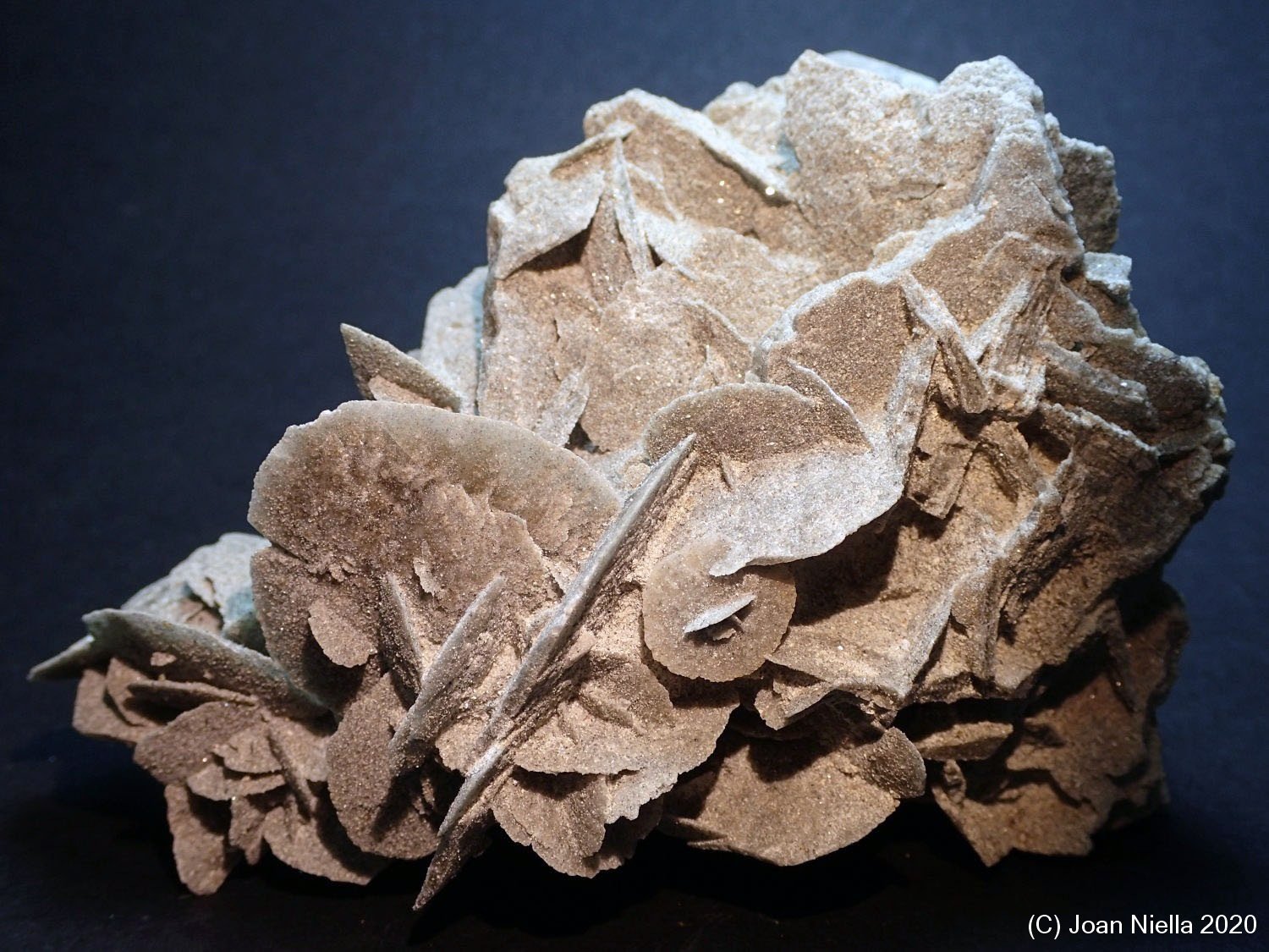 Yeso
9 x 7 cm
(Autor: Joan Niella)