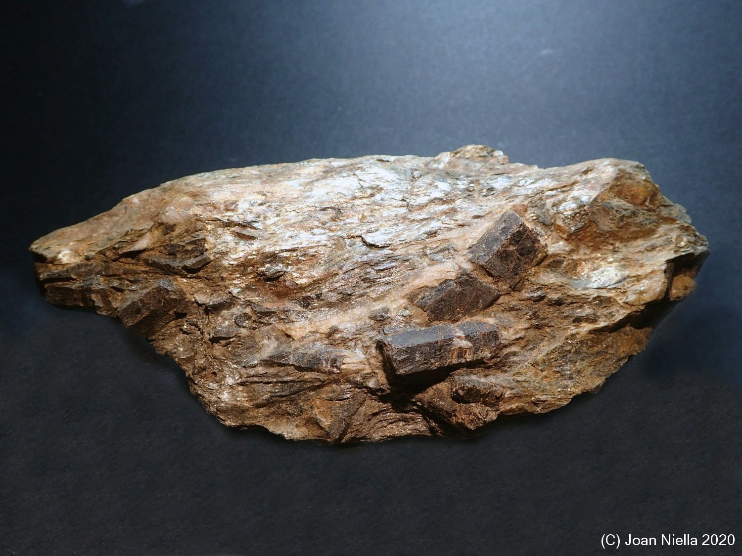 Estaurolita
140 x 65 mm
(Autor: Joan Niella)