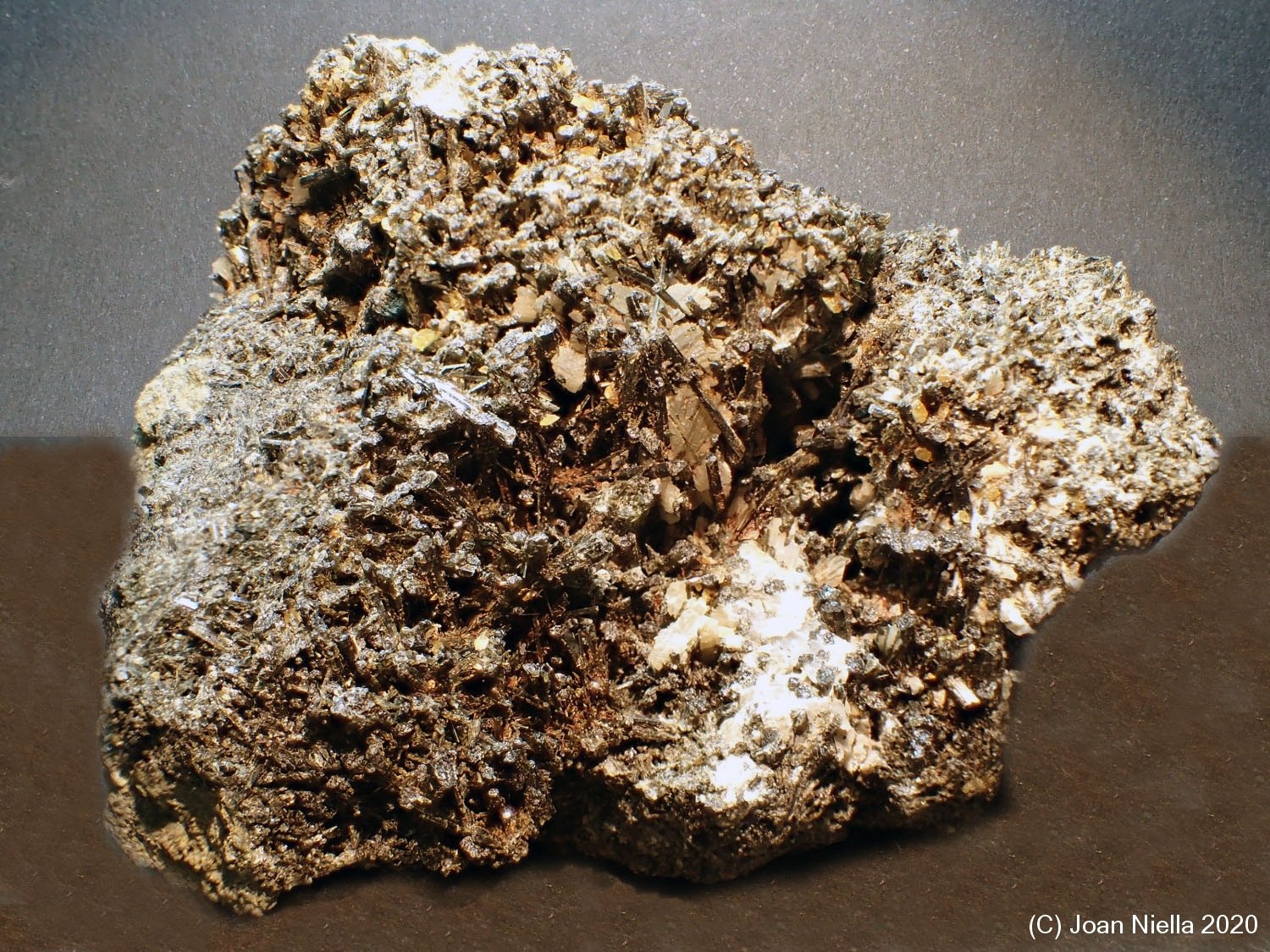 Augita
8 x 7 cm
(Autor: Joan Niella)