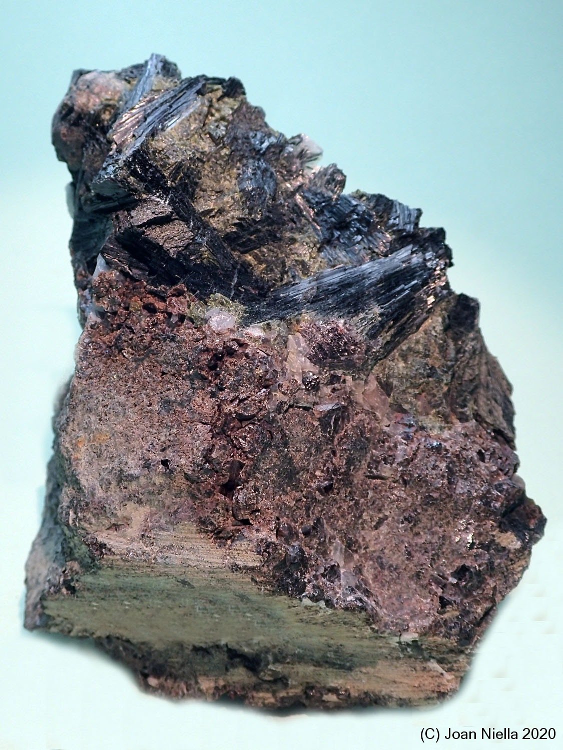 Ferro-pargasita
6 x 8 cm
(Autor: Joan Niella)