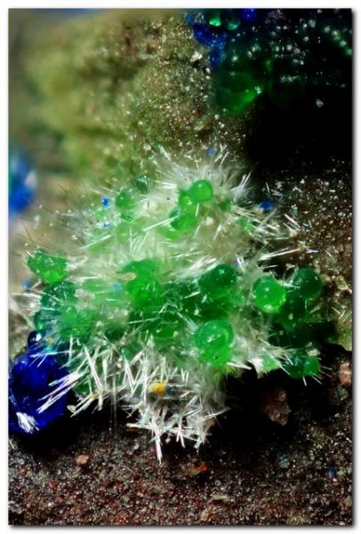 Olivenita y conicalcita
Ancho 1,5 mm.
(Autor: Rafa Muñoz(mineralvarado))