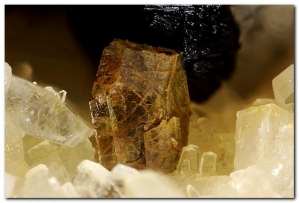 Titanita
Cristal de 3 mm.
(Autor: Rafa Muñoz(mineralvarado))
