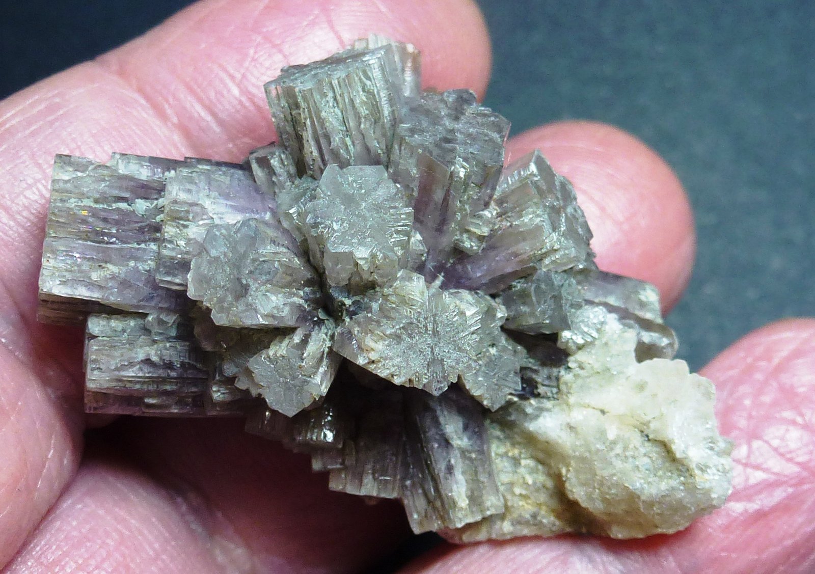 Aragonito, Yeso
5 x 3 cm.
(Autor: javier ruiz martin)