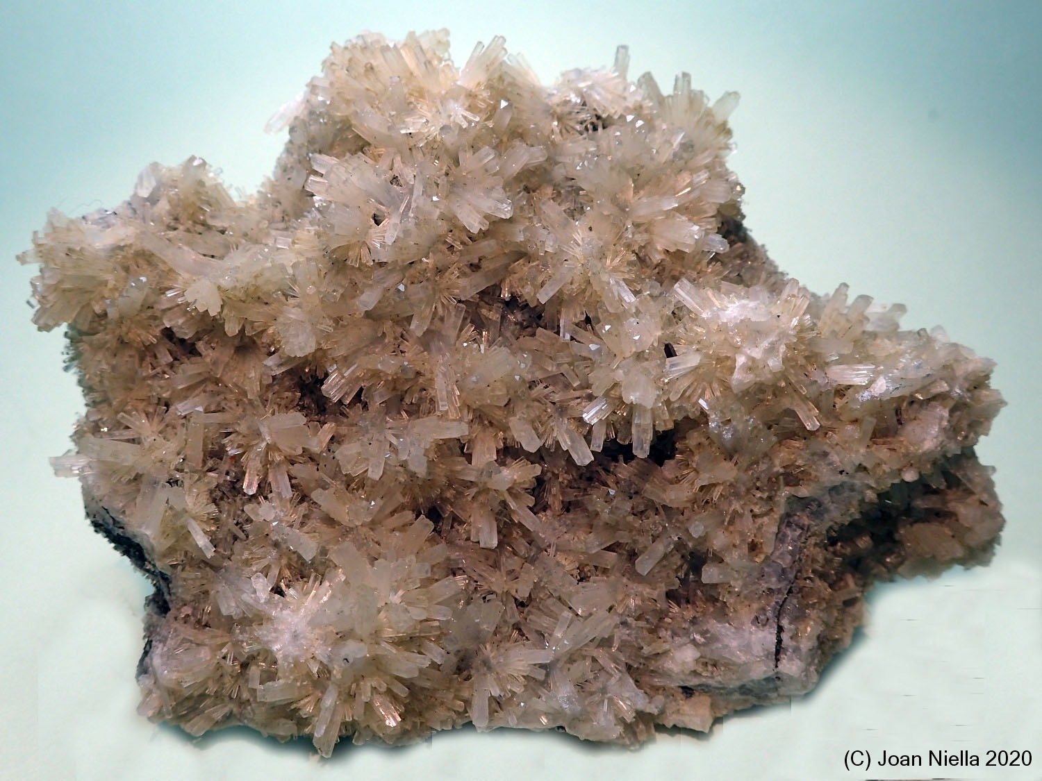 Natrolita
80 x 75 mm
(Autor: Joan Niella)