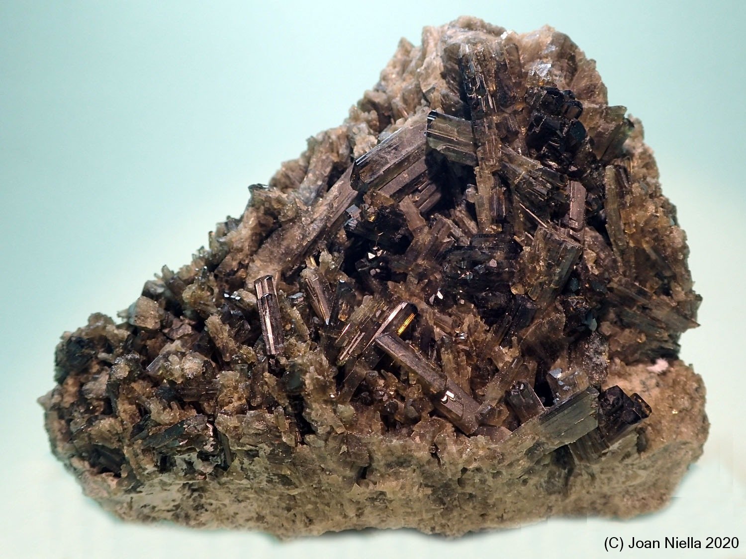 Epidota
9 x 7 cm
(Autor: Joan Niella)