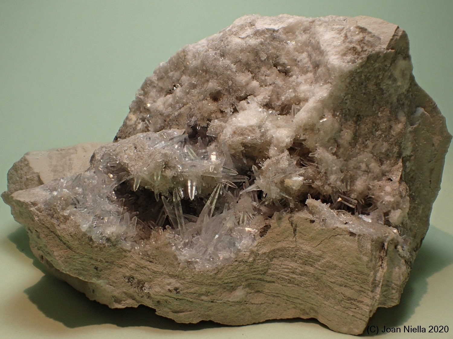 Celestina
10 x 6 cm
(Autor: Joan Niella)