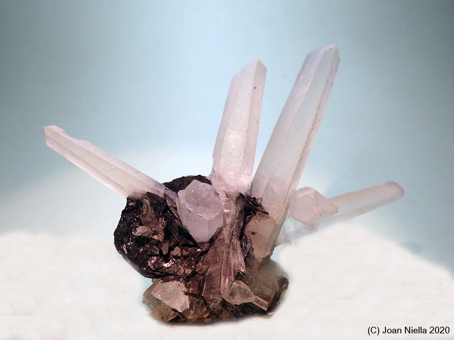 Cuarzo
9 x 7 cm
(Autor: Joan Niella)