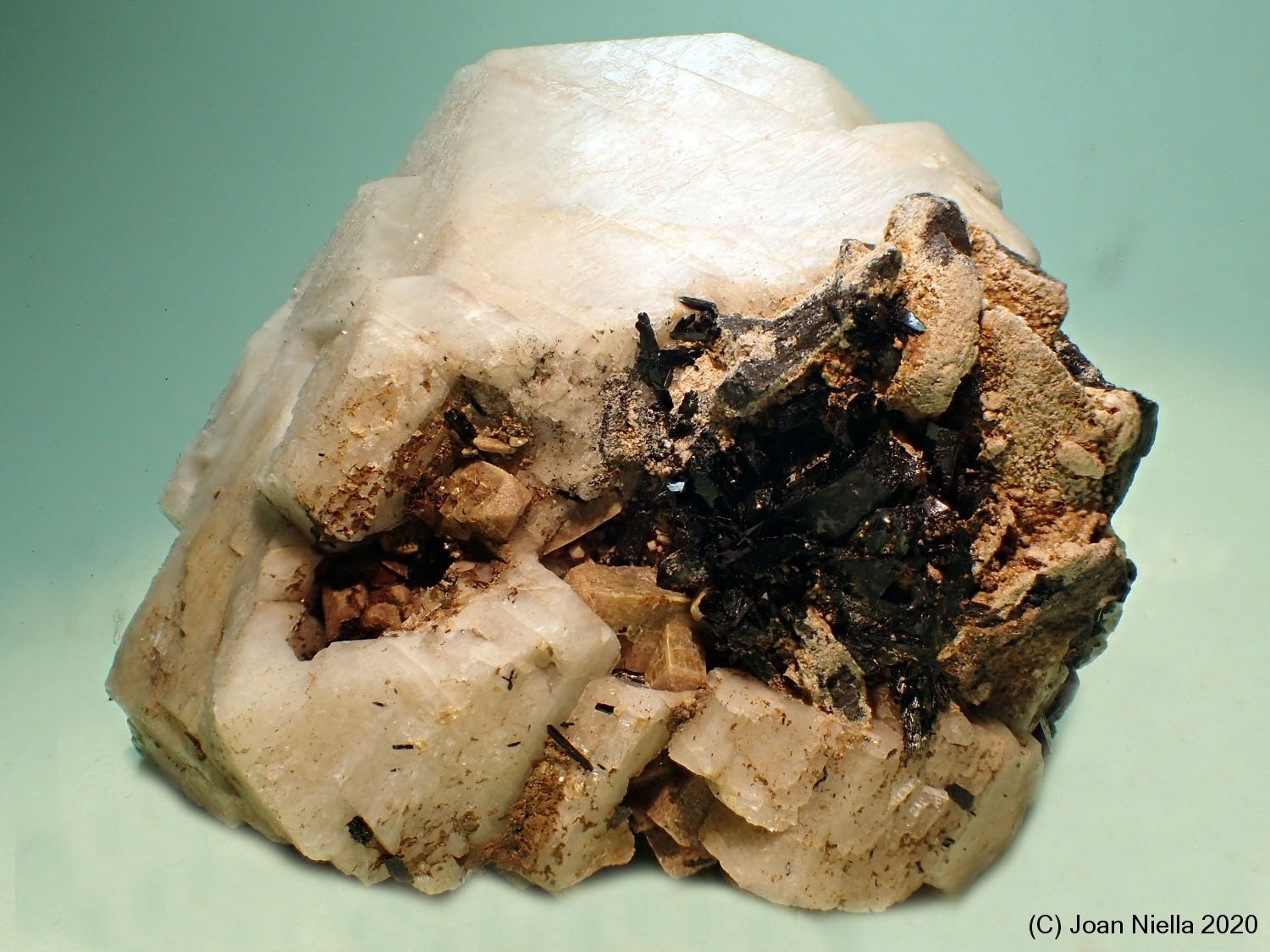 Zircón
6 x 5 cm
(Autor: Joan Niella)