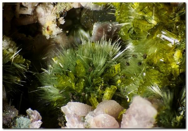Pumpellita, Clinozoisita
Encuadre 7 mm.
(Autor: Rafa Muñoz(mineralvarado))