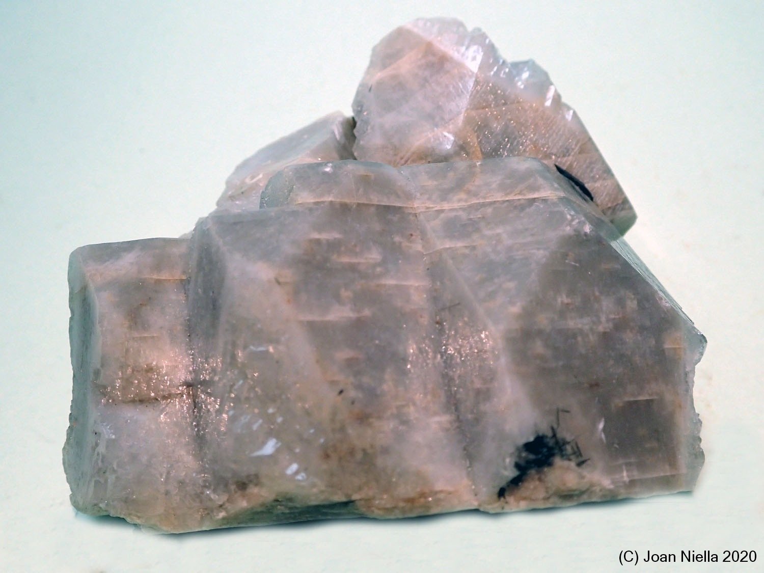 Ortoclasa
5 x 6 cm
(Autor: Joan Niella)
