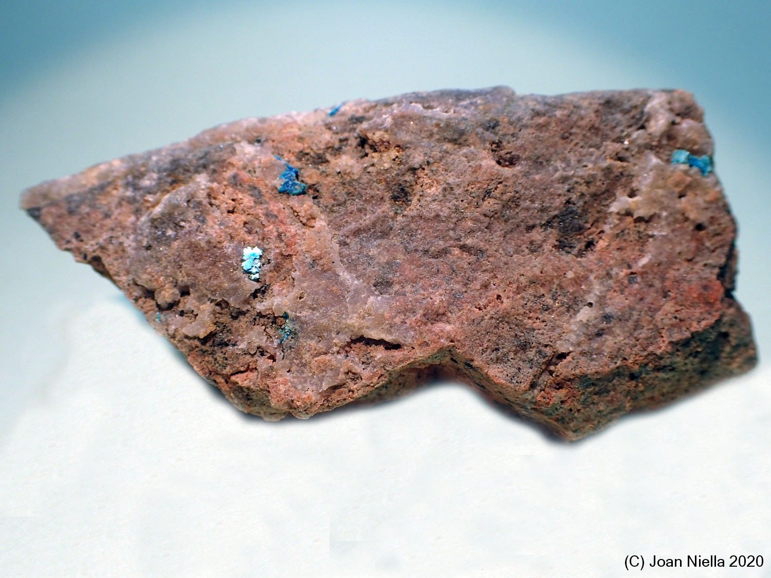 Sampleita
6 x 3 cm
(Autor: Joan Niella)