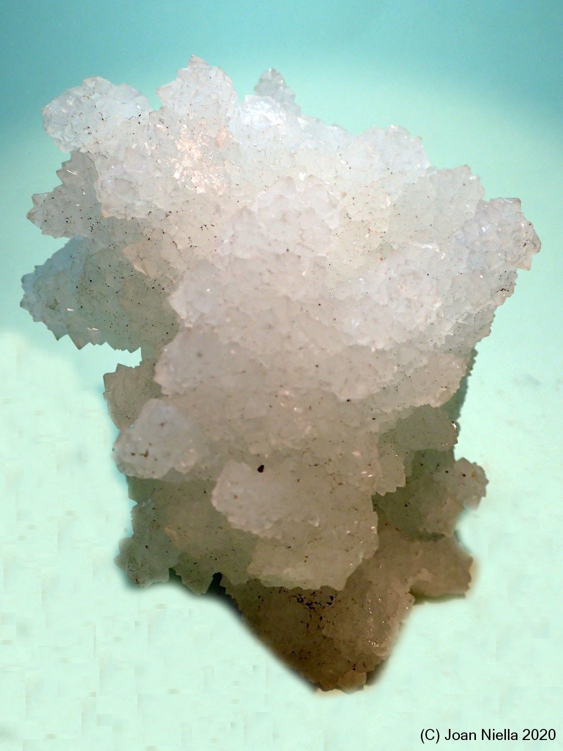 Prehnita
65 x 50 mm
(Autor: Joan Niella)