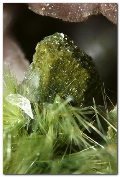Augita.
Cristal de 2,5 mm.
(Autor: Rafa Muñoz(mineralvarado))