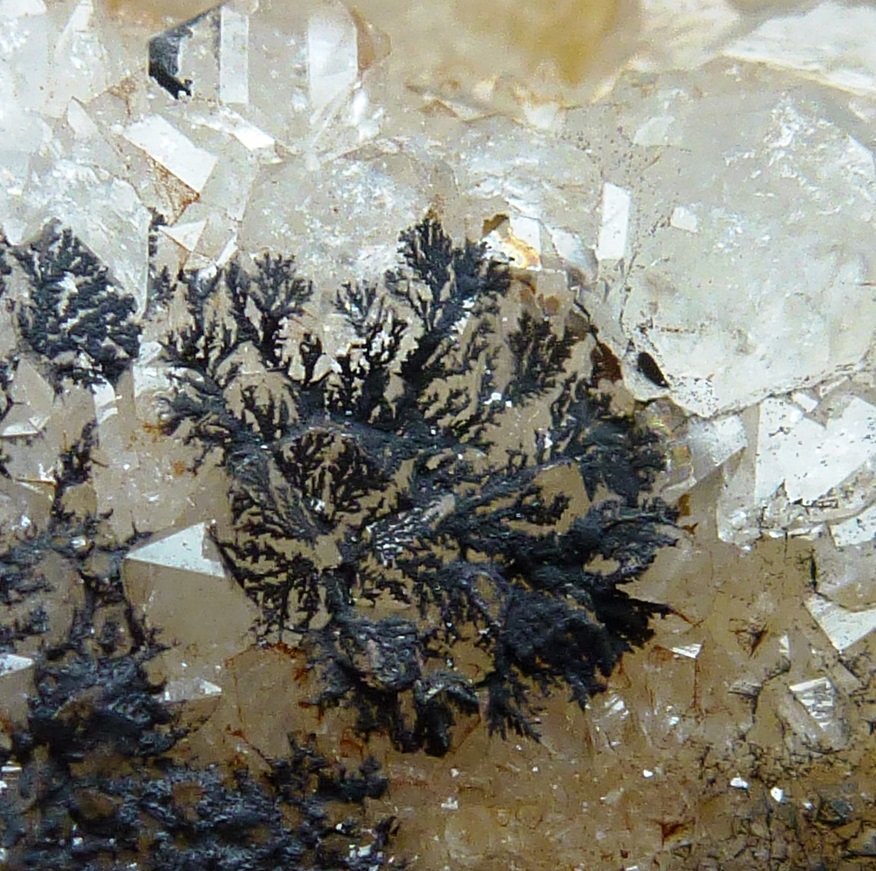 óxidos de manganeso, Cuarzo
Encuadre 1,5 x 1,5 cm.
(Autor: javier ruiz martin)