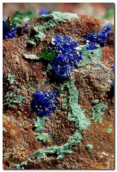 Parnauita, azurita y conicalcita
Ancho 3 mm.
(Autor: Rafa Muñoz(mineralvarado))