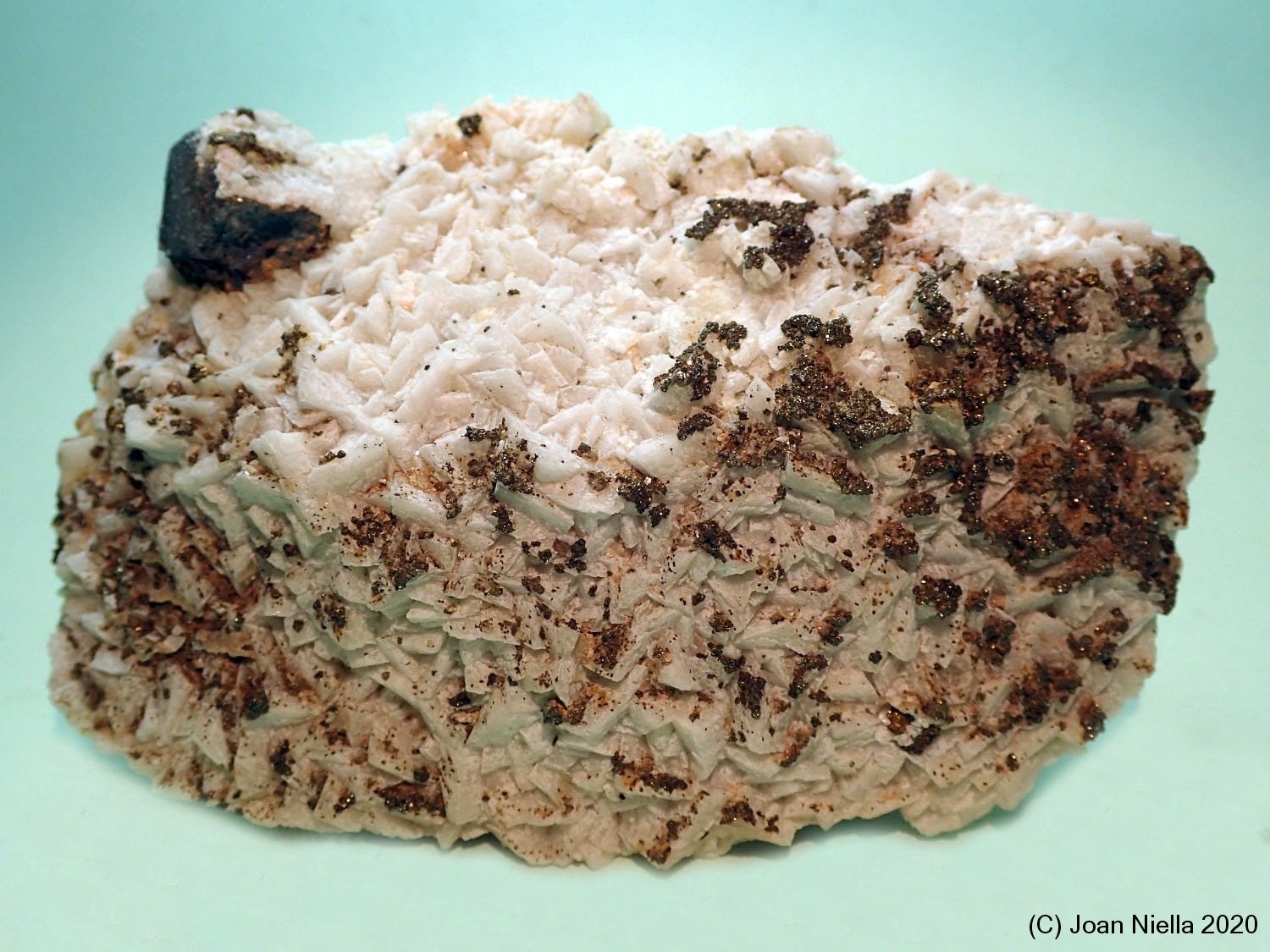 Galena
10 x 6 cm
(Autor: Joan Niella)