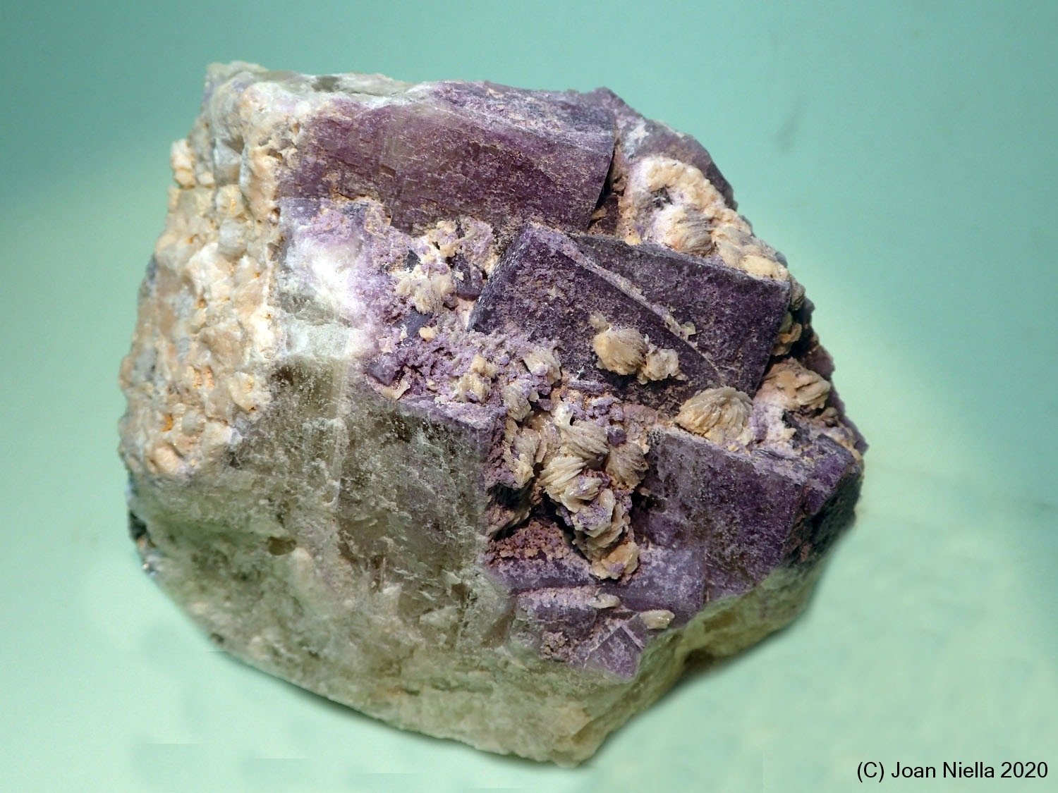 Fluorita
9 x 8 cm
(Autor: Joan Niella)