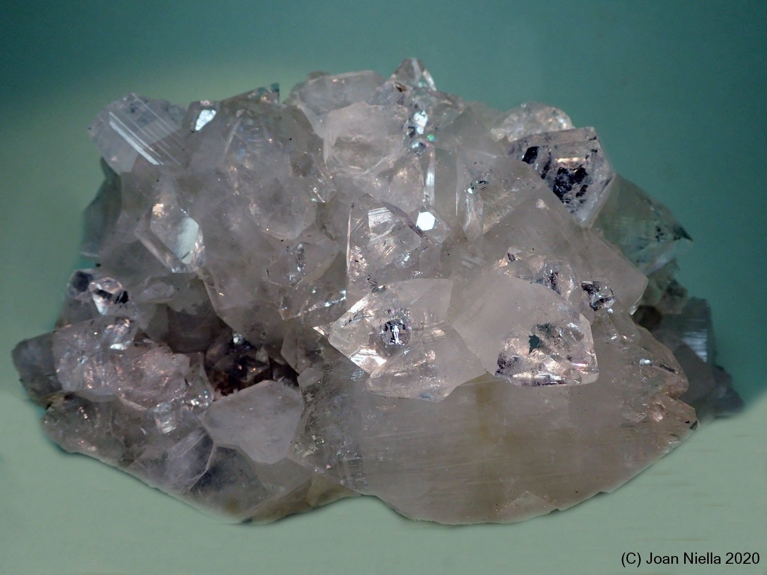 Fluorapophyllita-(K) (Apofilita)
135 x 75 mm
(Autor: Joan Niella)