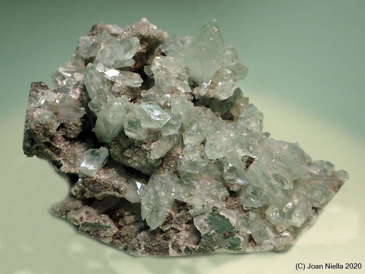 Fluorapophyllita-(K) (Apofilita)
9 x 7 cm
(Autor: Joan Niella)