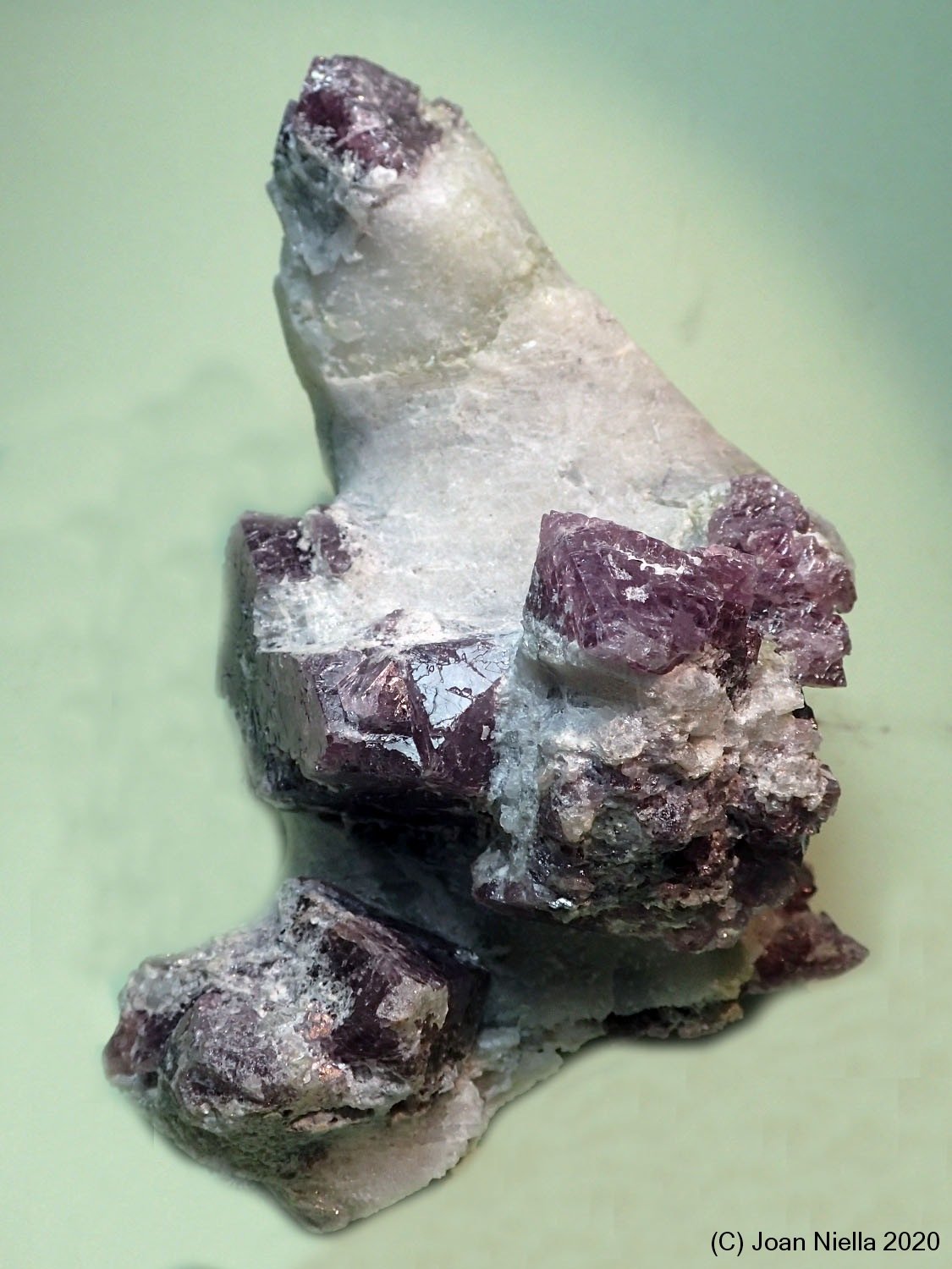 Espinela
9 x 11 cm
(Autor: Joan Niella)