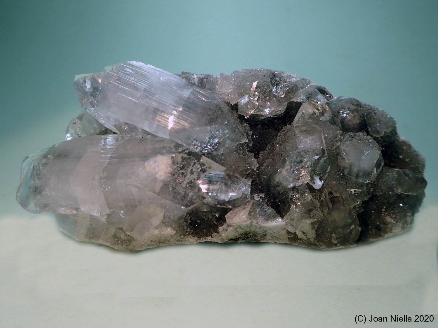 Fluorapophyllita-(K) (Apofilita)
9 x 4 cm
(Autor: Joan Niella)