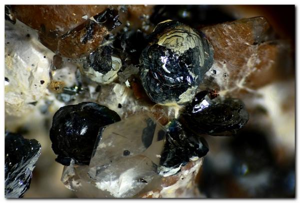 Hematites sobre cuarzo
Encuadre de 7mm.
(Autor: Rafa Muñoz(mineralvarado))
