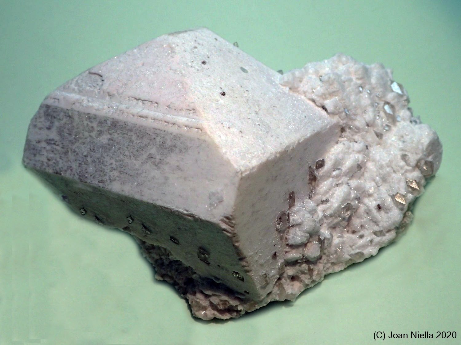 Ortoclasa
75x40 mm
(Autor: Joan Niella)
