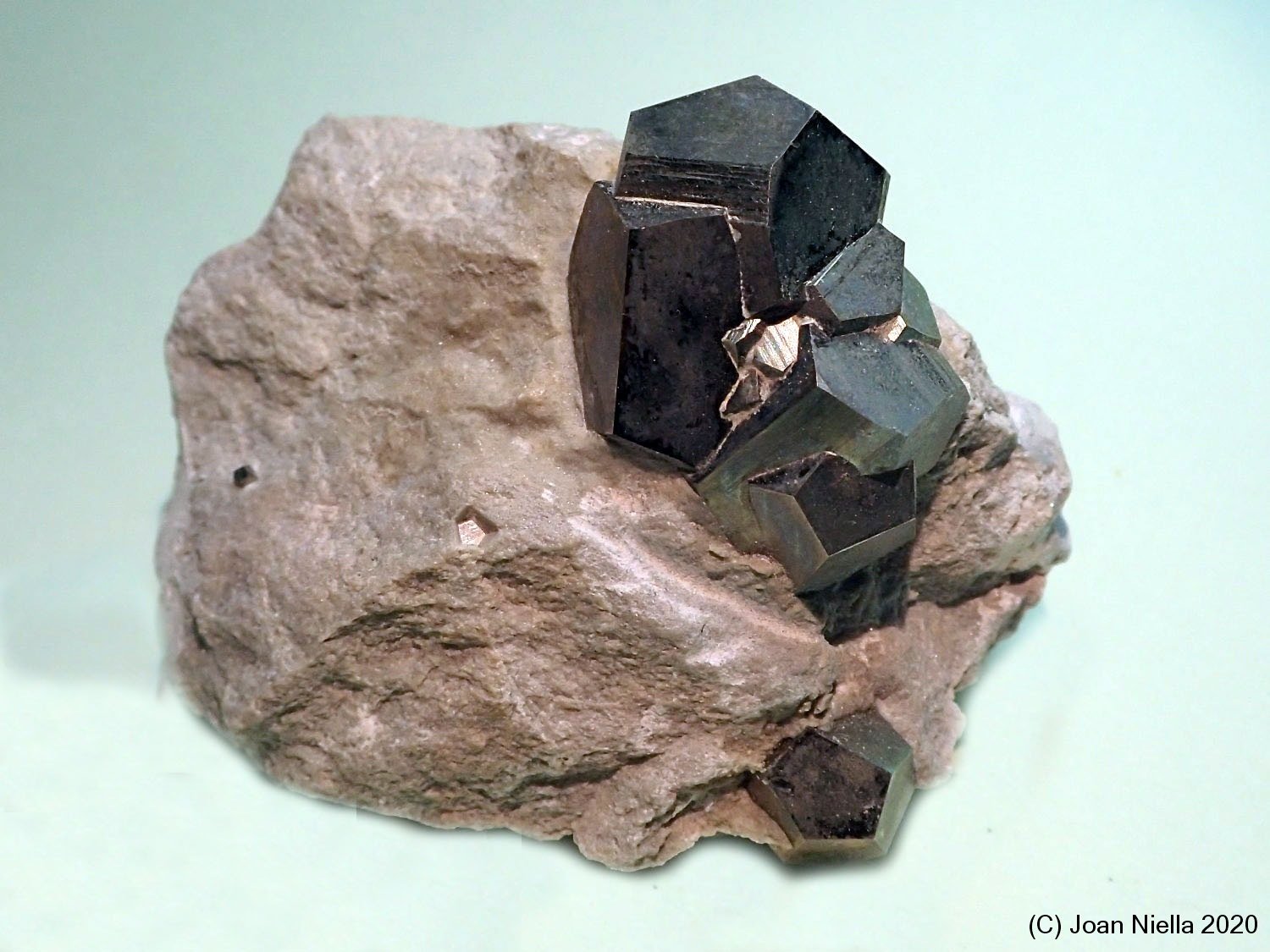 Pirita
55x40 mm
(Autor: Joan Niella)