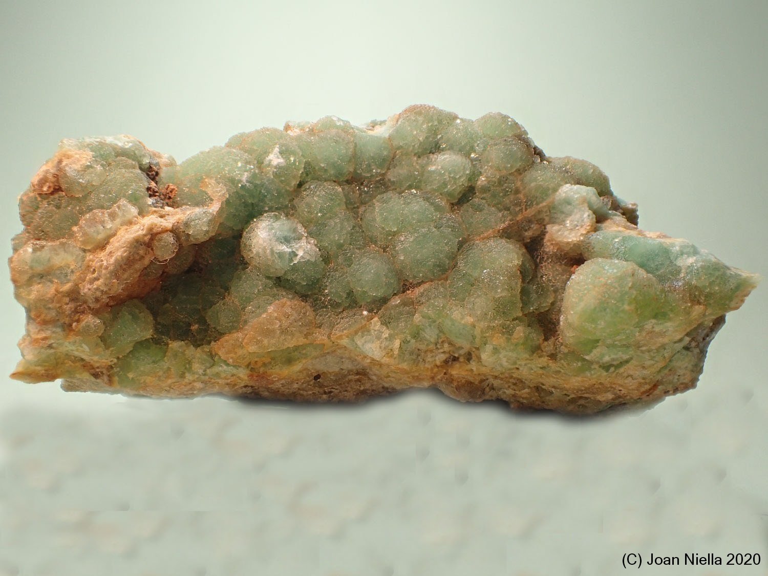 Fluorita
65x 25 mm
(Autor: Joan Niella)
