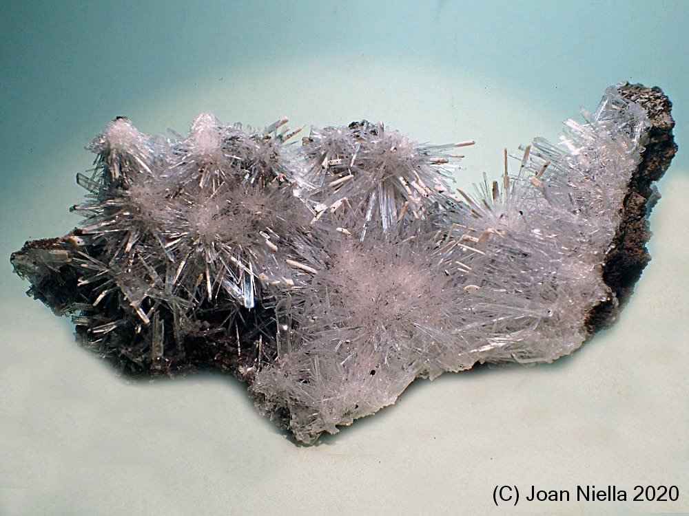 Yeso
110x45 mm
(Autor: Joan Niella)