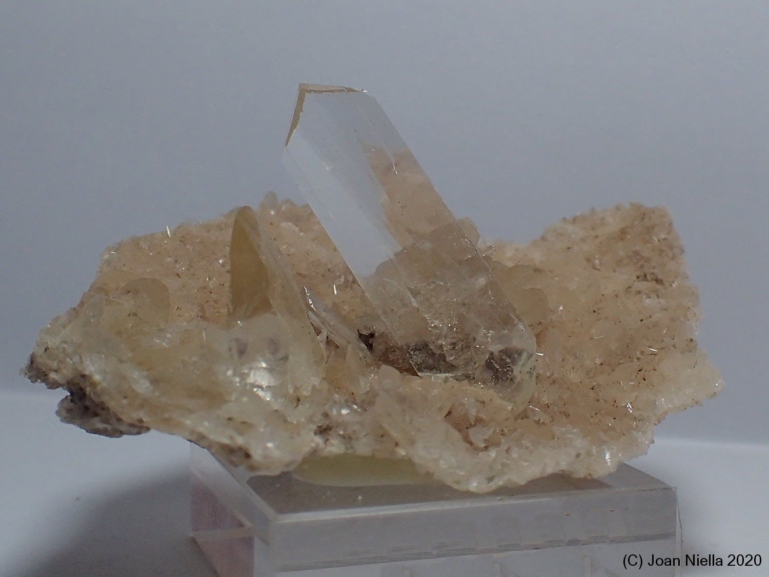 Yeso
55 x 35 mm
(Autor: Joan Niella)