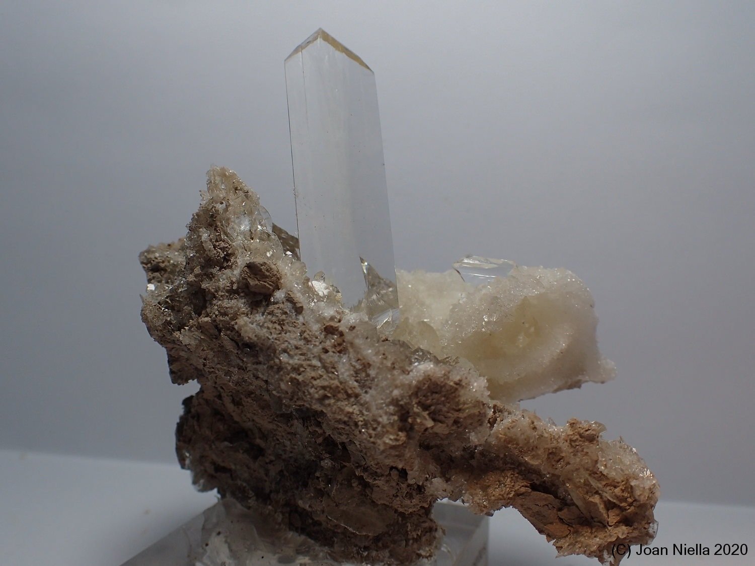 Yeso
7 x 7 cm
(Autor: Joan Niella)