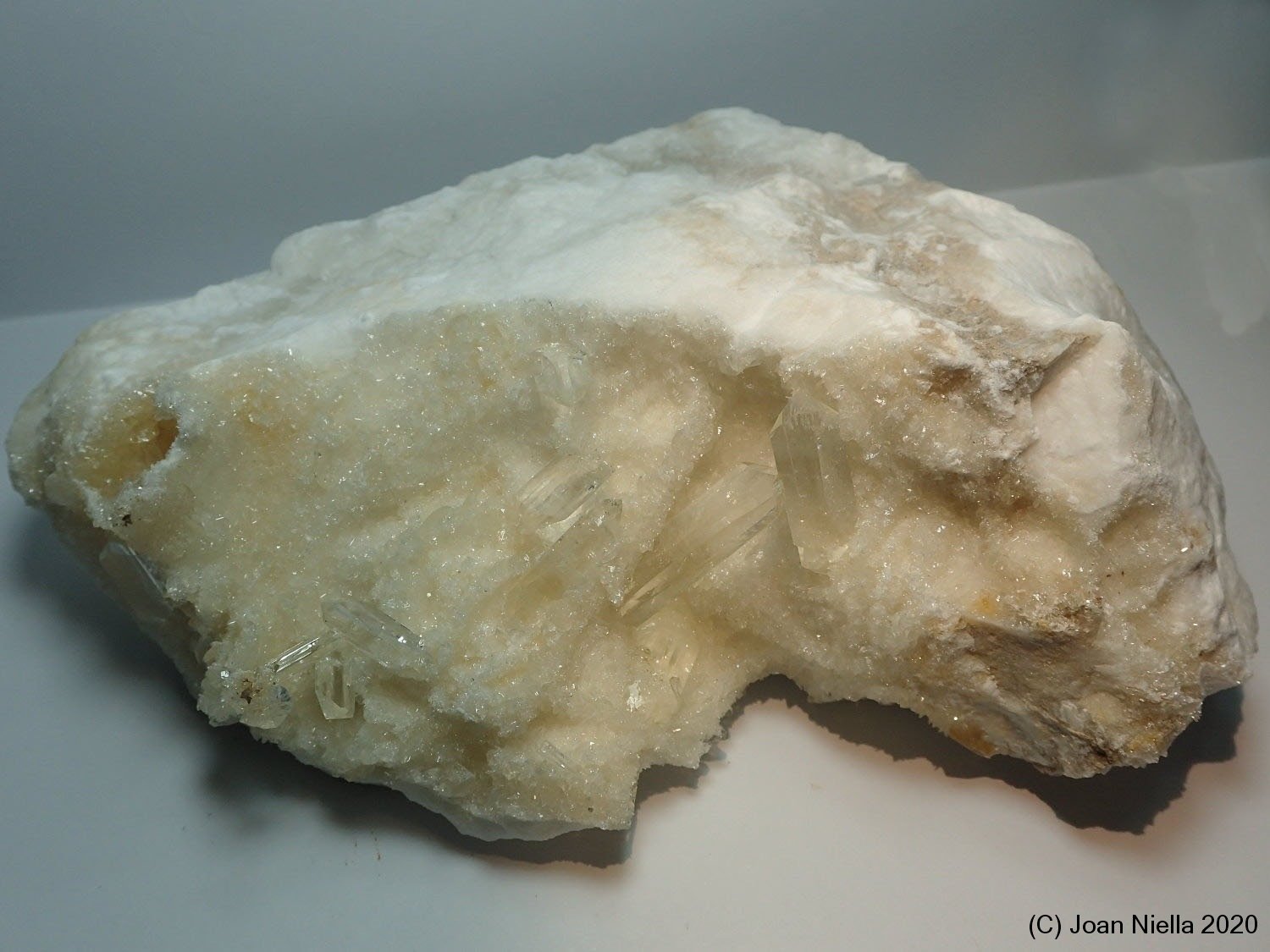 Yeso
16 x 10 cm
(Autor: Joan Niella)